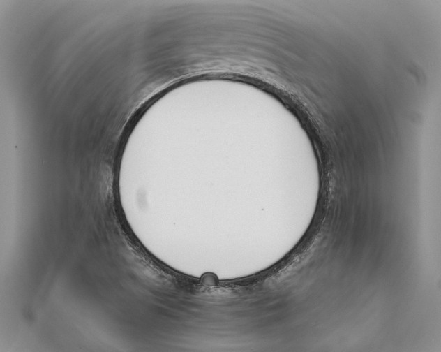 X0000111391505200908071245