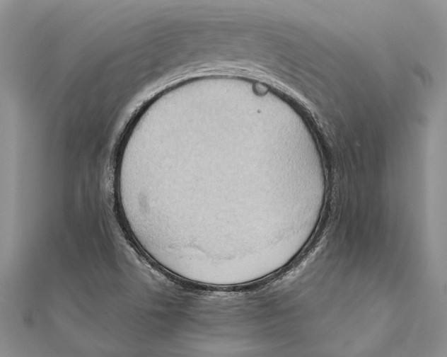 X0000111391506200908071245
