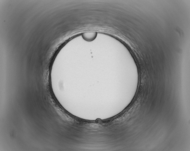 X0000111391507200908071245