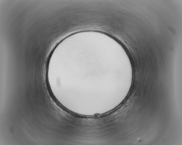 X0000111391508200908071245