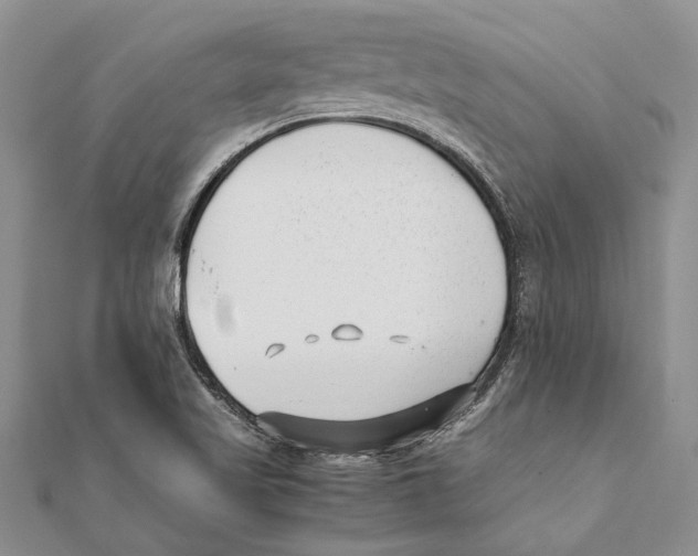 X0000111391509200908071245