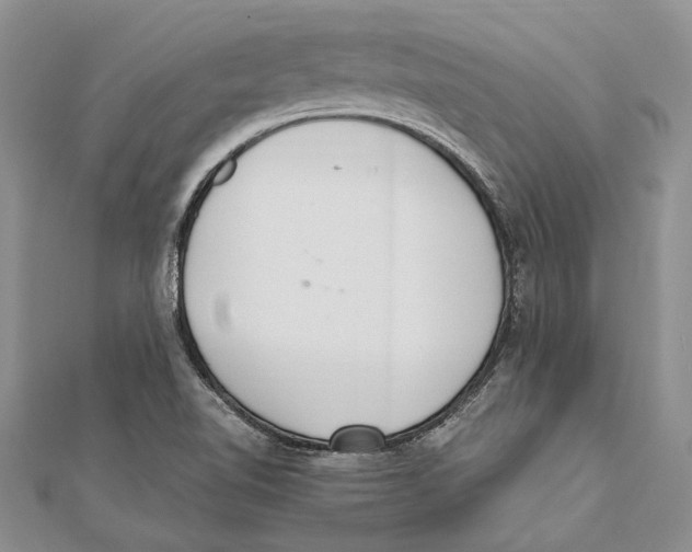 X0000111391510200908071245