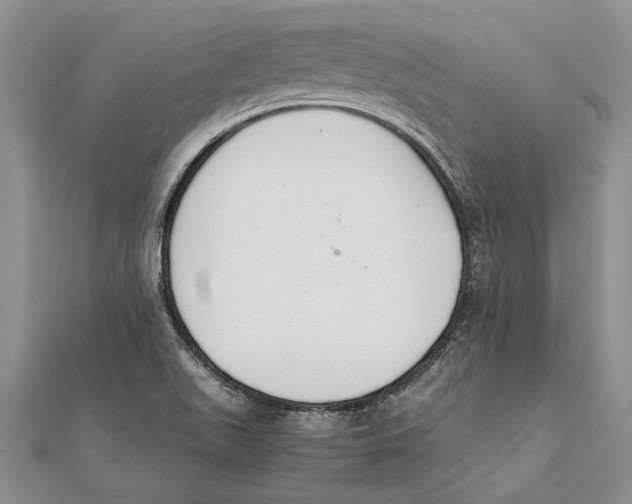 X0000111391511200908071245