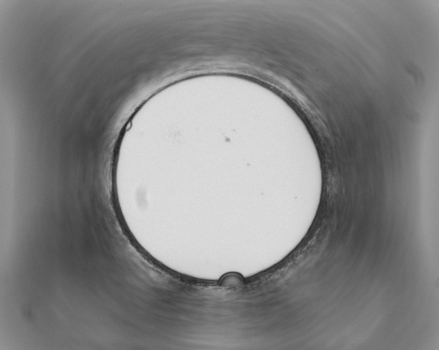 X0000111391512200908071245