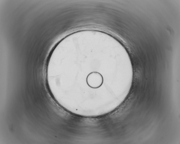 X0000111391514200908071245