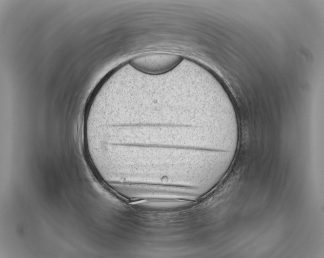 X0000111391515200908071245