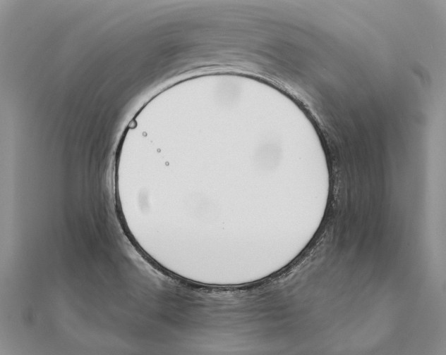 X0000111391516200908071245