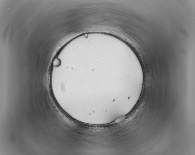 X0000111391517200908071245