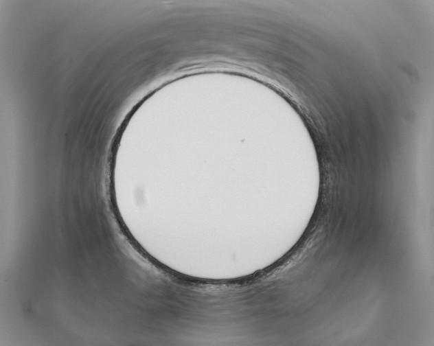 X0000111391518200908071245