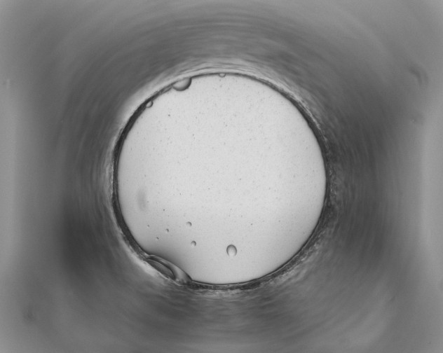 X0000111391519200908071245