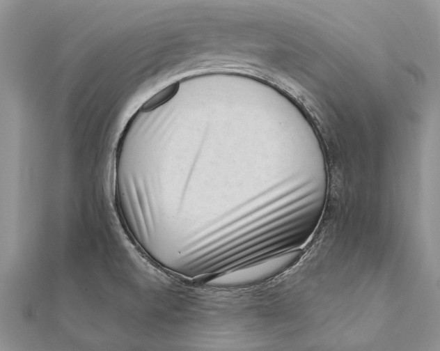 X0000111391520200908071245