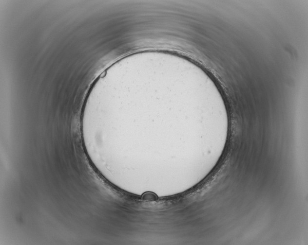 X0000111391521200908071245