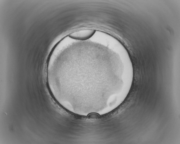 X0000111391522200908071245