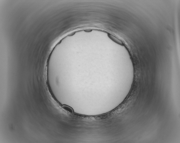 X0000111391524200908071245