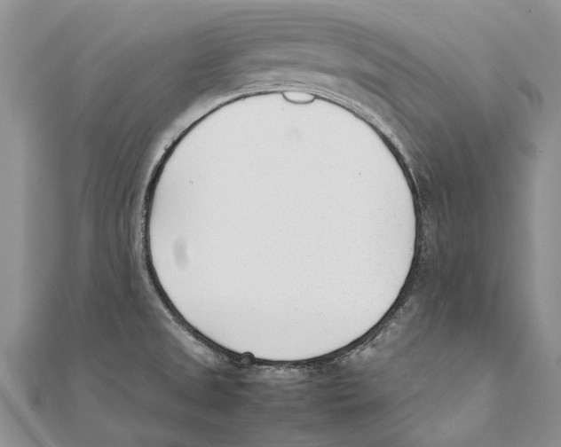 X0000111391525200908071245