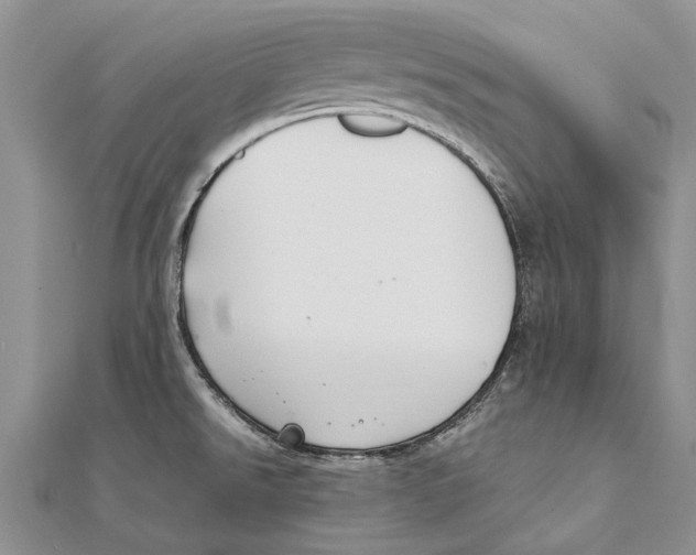 X0000111391526200908071245