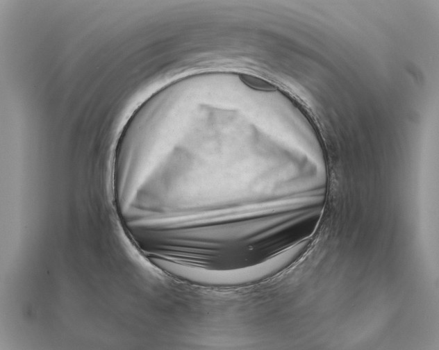 X0000111391528200908071245