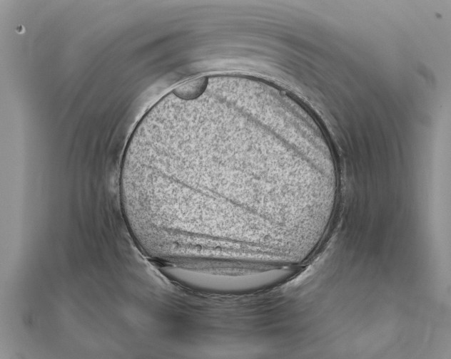 X0000111391529200908071245