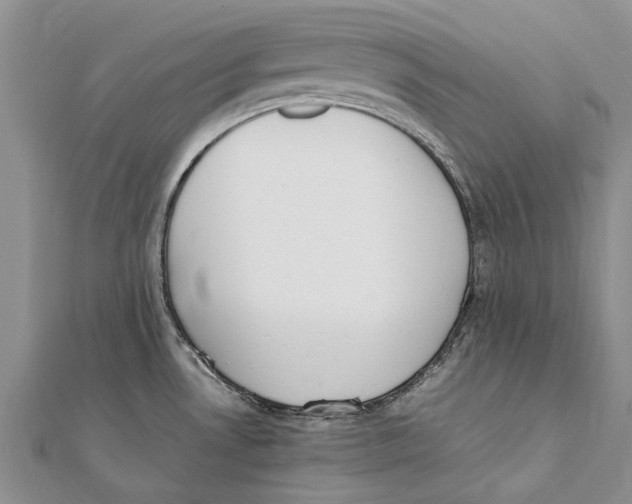 X0000111391530200908071245