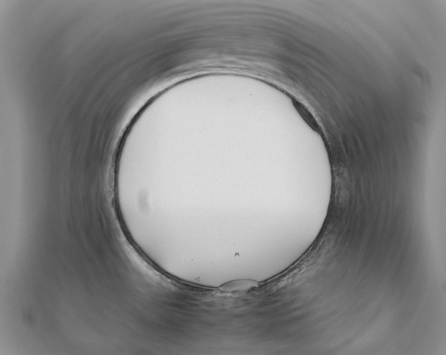 X0000111391531200908071245