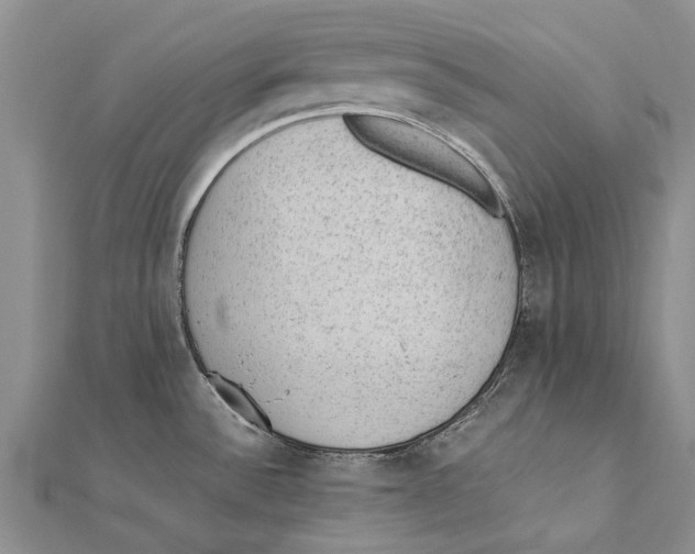 X0000111391532200908071245