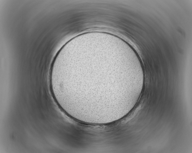 X0000111391533200908071245