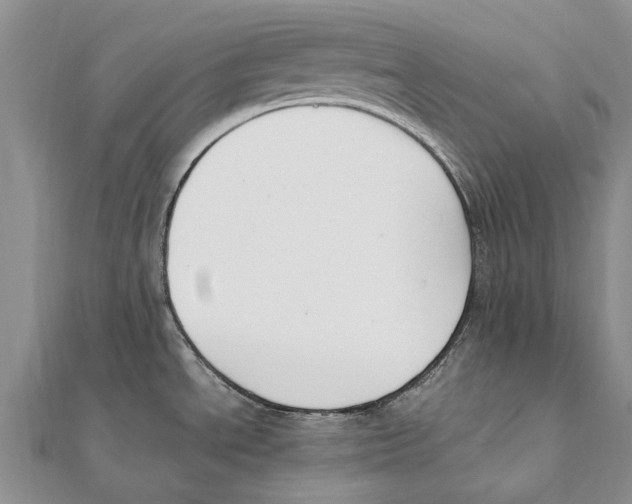 X0000111391534200908071245