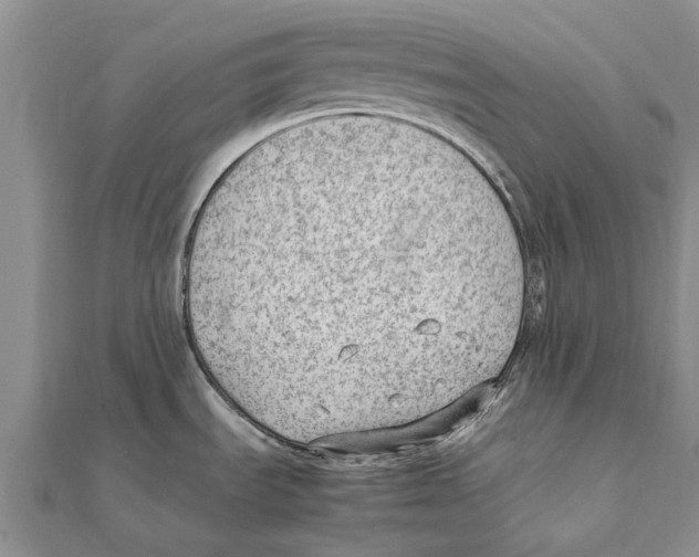 X0000111391535200908071245