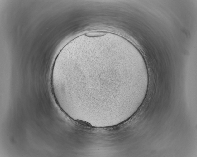 X0000111391536200908071245