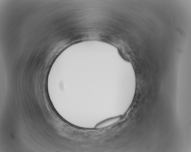 X0000111390001200908211412
