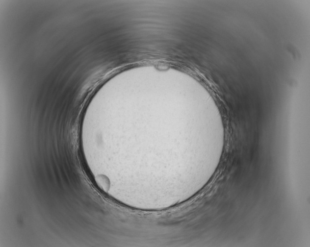 X0000111390002200908211412