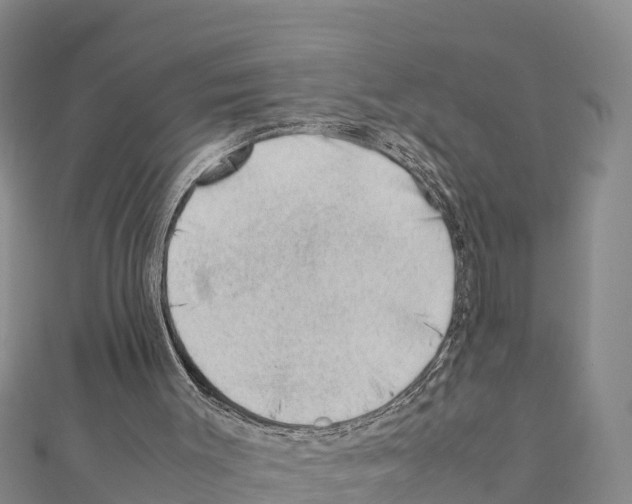 X0000111390003200908211412