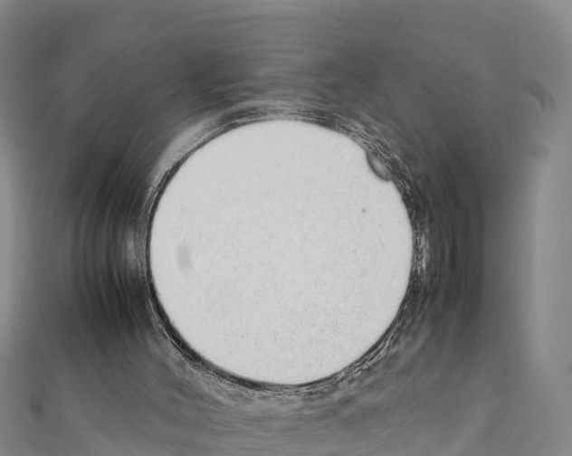 X0000111390004200908211412