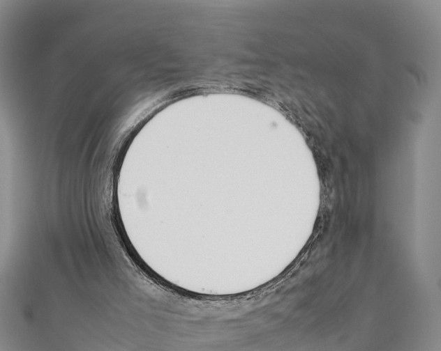 X0000111390005200908211412