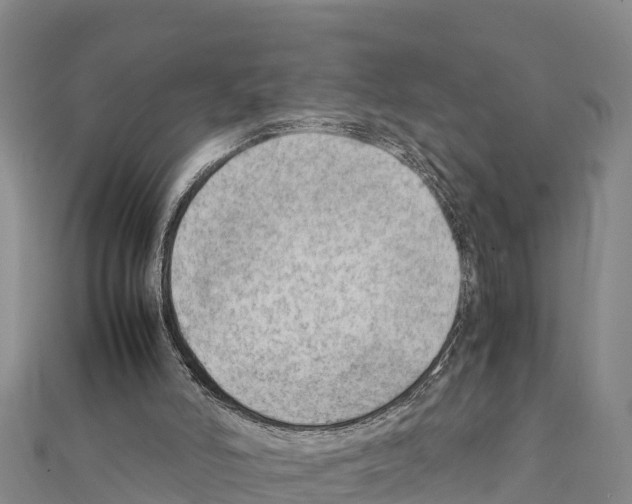 X0000111390006200908211412