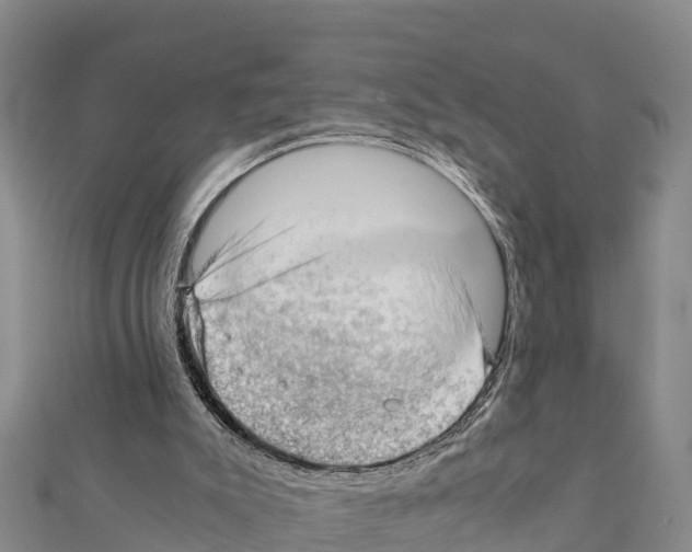 X0000111390007200908211412