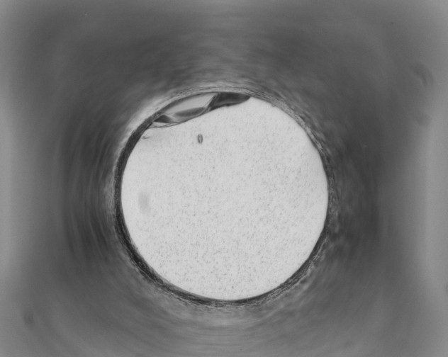 X0000111390008200908211412