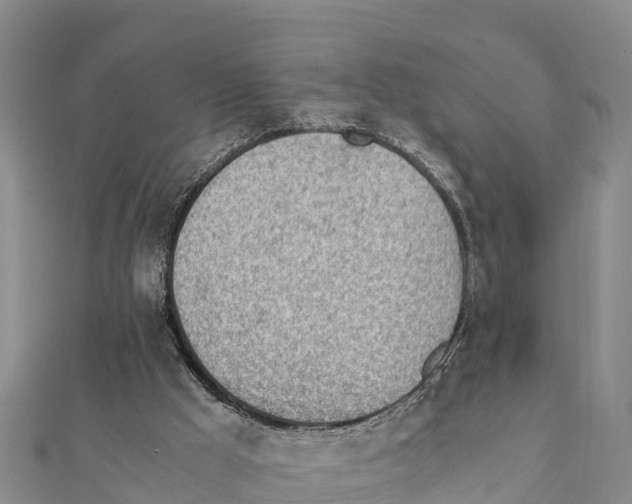 X0000111390009200908211412
