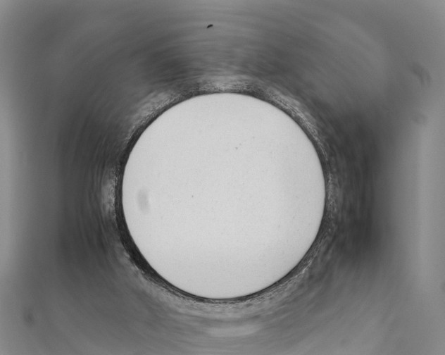 X0000111390010200908211412