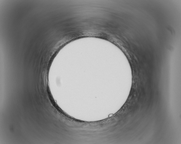 X0000111390011200908211412