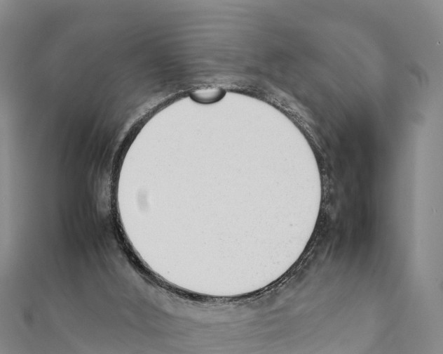 X0000111390012200908211412