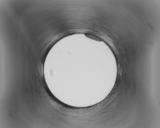 X0000111390013200908211412