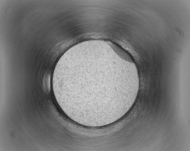 X0000111390014200908211412