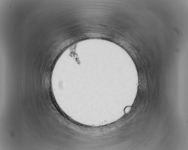 X0000111390015200908211412