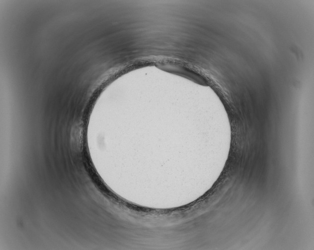 X0000111390016200908211412