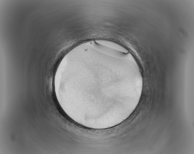 X0000111390019200908211412
