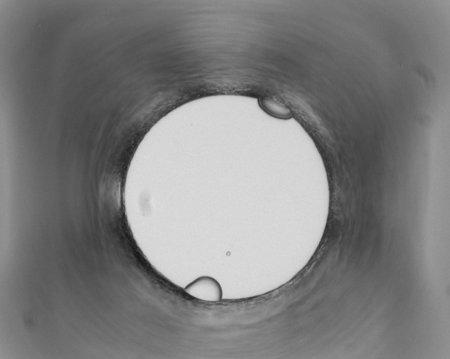 X0000111390021200908211412