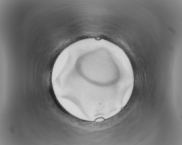 X0000111390023200908211412