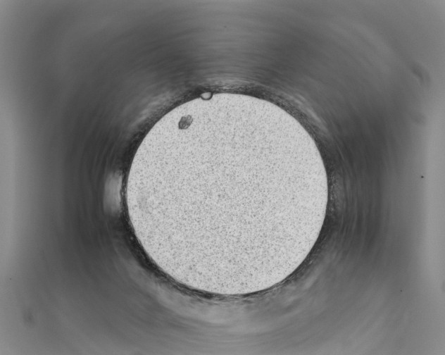 X0000111390024200908211411