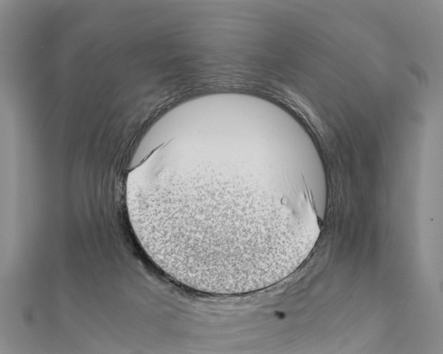 X0000111390025200908211411